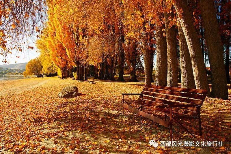 思明区首办“必吃榜市集”