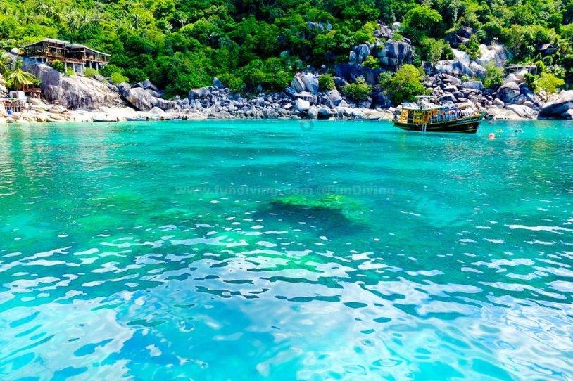 夏日的婚礼