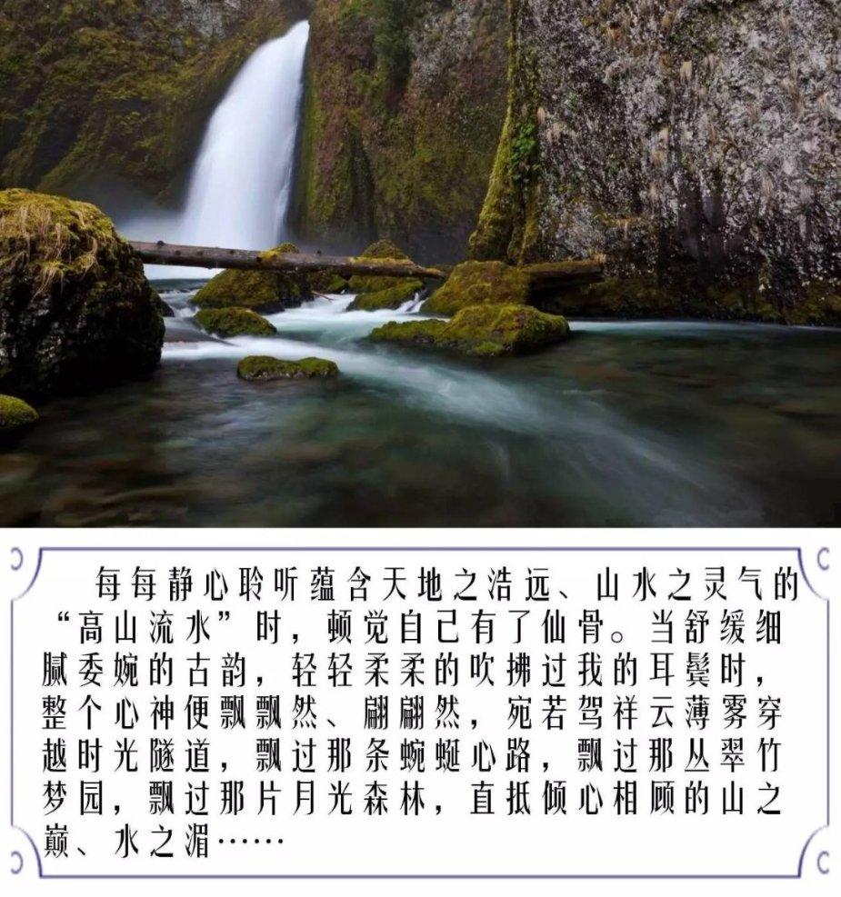夏天常见的咬人虫子大全
